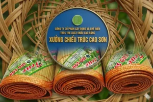 chieutruccaoson vn 7